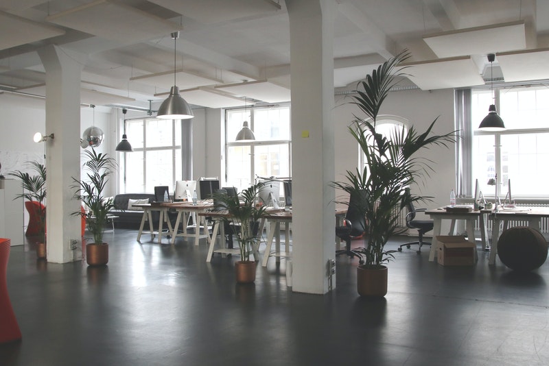 Office with a lot of chair, plant on the right side and black and white theme color combination for the paintings and computers and chairs